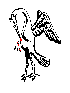 Pelican Vulning